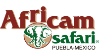 Логотип Africam Safari